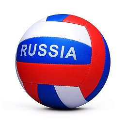 Мяч волейбольный 