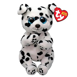 ROWDY - далматинец belly reg 41502