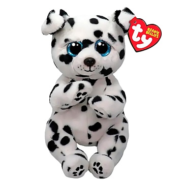 ROWDY - далматинец belly reg 41502