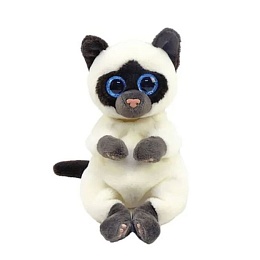 MISO - сиамская кошка belly reg 40548