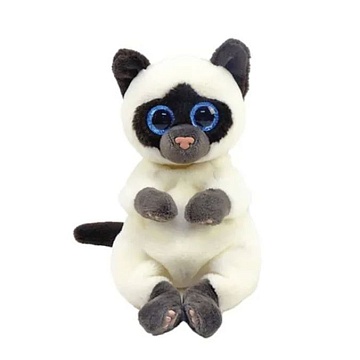 MISO - сиамская кошка belly reg 40548